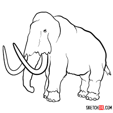 Another was the giant antelope that was very similar to a hartebeest or a wildebeest known as megalotragus priscus Extinct Animals Easy To Draw Novocom Top