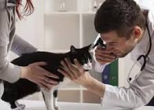 Image result