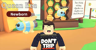 When other players try to make money during the game, these codes make it easy for you and you february 2, 2021 at 1:47 pm. Adopt Me How Much Is A Queen Bee Worth Caffeinatedgamer