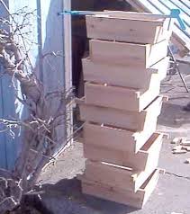 Wooden Training Pots Cedar Bonsai Techniques Bonsai Pots Wooden