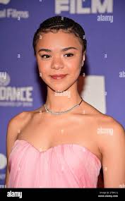 Scott grove hi-res stock photography and images