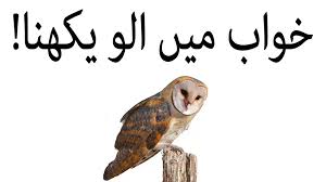 Khwabon Ki Tabeer In Urdu Khawab Mein Ullu Night Owl Dekhna Video Dailymotion Your trusted source for khwab mein ullu dekhna videos and the latest top stories in world.