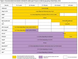 recommended immunization schedule for adults aged 19 years