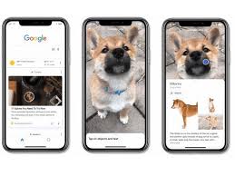 Pin On Visual Search