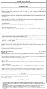 Finance officer job description guide the role of the finance officer involves providing financial and administrative support to colleagues, clients and stakeholders of the business. Finance Officer Resume Sample Mintresume