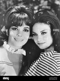 Lana Weed's Instagram, Twitter & Facebook