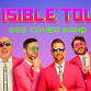Invisible Touch - 80's Cover Band