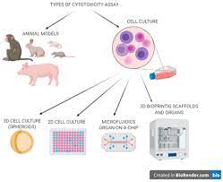 Check spelling or type a new query. Micromachines Free Full Text Novel Strategies In Artificial Organ Development What Is The Future Of Medicine