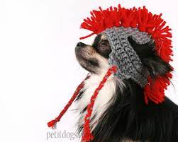 Crochet Mohawk Dog Hat Winter Hats For Pets Pet It Dog Apparel