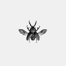 Black And White Insect With Stinger Coleoptera Black Rotring Ink Dots 0 1 Mm Schoellershammer White Paper 200 Gr Fer Alcazar Insect Illustration Beetle Tattoo Insect Tattoo Bugs Drawing