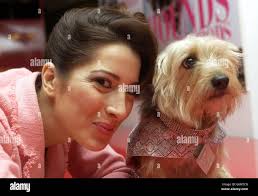 Warner bros store hi-res stock photography and images