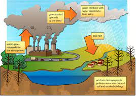 Properties Of Acids Bases And Neutral Substances Acids Bases And Neutral Substances Siyavula