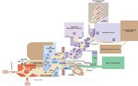 Las Vegas Plexus Products Mgm Grand Las Vegas