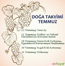 Temmuz Ayi Doga Takvimi Doga Inanilmaz Doga Dolunay