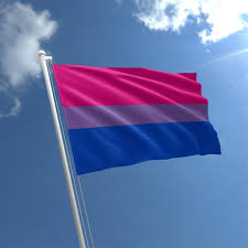 The pisexual/piamoric flag was made by a user going by al/ally on november 6th, 2020. Bi Pride Flag Bi Pride Flag For Sale The Flag Shop