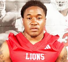 Stevenson ready to help Lions win