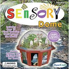 Cacti and succulents are now a very common houseplant and caring for your cacti and succulents is important. 46 Grow It Yourself Giy Ideas Growing Science Kits Grow Your Own