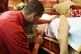Things to do in charleston, sc. Bed Bug Control Prevention Palmetto Exterminators