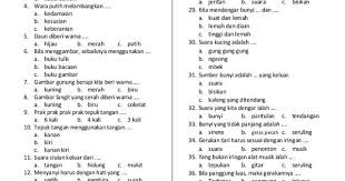 Ulangan Semester Genap Tahun Pelajaran 2014 2015 Nama Sekolah Mata Pelajaran Seni Budaya Dan Keteram Microsoft Office Word Word 2007 Microsoft Word 2007
