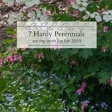 The following list of perennial flowers will help you choose just which permanent plants you want to invite into your garden to stay. 7 Hardy Perennials You Ll Want To Grow In This Year S Garden Hearth And Vine