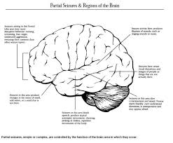 Sometimes, there is no way to prevent. Focal Onset Impaired Awareness Seizures Epilepsy Foundation