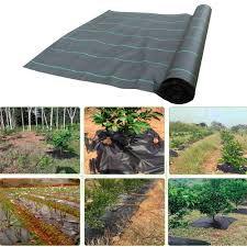 Plastic landscape coverings and mulches are great for blocking weeds in play areas and other spaces where you don't want any plants emerging but is not recommended for areas of active growth. Buy Online Agriculture Weed Barrier Landscape Fabric Ground Cover Garden Mat Plastic Plant Grow Care Cloth Black Pp Alitools