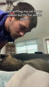 Exploring the Intriguing Cat Smell Phenomenon