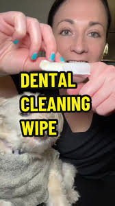 Shih Tzu Brushing Teeth