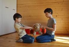 Image result for Aggressive acts that are performed for purposes of achieving privileges are likely to be classified as instrumental aggression , hostile aggression , peaceful aggression , achieving aggression
