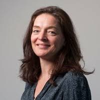 10+ "Dr Mchugh" profiles