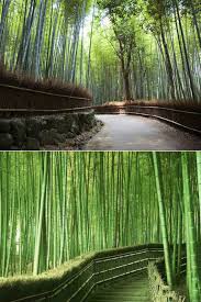 The huge number of species means that you will not have difficulty in finding the right one and looking at all these wonderful bamboo garden design ideas you may find your inspiration. Bamboo Gardendesign Gardenideas Gardeningtips Gar In 1001 Gardens Ideas Scoop It