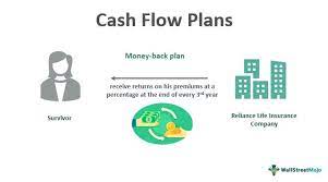 Maybe you would like to learn more about one of these? Cash Flow Plans Definition Example How Does It Works