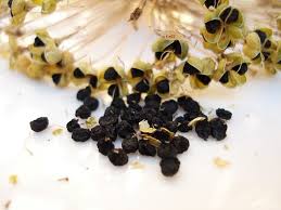 Check spelling or type a new query. 11 Easy To Save Flower Seeds