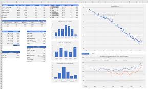 Weight Loss Dashboard Excel