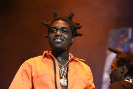 He released his debut studio album named painting pictures in 2017. Kodak Black Net Worth In 2020 Early Life And All You Need To Know Gud Story