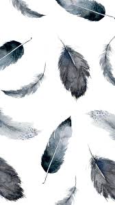 Iphone se and ipad pro wallpapers. Feather Iphone Wallpapers Top Free Feather Iphone Backgrounds Wallpaperaccess