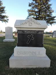 Bridget Cashell Driscoll (1851-1925)