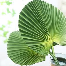 Huge sale on big plants now on. Artificial Big Leaf Pu Material Banana Tree Leaves Tropical Rainforest Green Plant Leaves Buy Artificial Banana Leaves Fake Tree Leaves Rainforest Green Plant Product On Alibaba Com