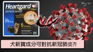 名站推薦 tips：2021年6月8日 更新失效連結 total 13 ». æ–°å† è‚ºç‚Žæ²»ç™‚è—¥ç‰©æ©Ÿåˆ¶å¤§è§£æž ä¼Šç¶­èŒç´ ivermectin çŠ¬æ–°å¯¶æˆåˆ† å¥Žå¯§quinine æ—¥èˆ'azithromycin ç'žå¾·è¥¿å‰remdesivir ç‰™ç—›ç¸é†« Youtube