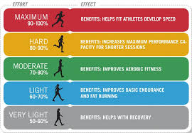 training tip using heart rate zones for maximum