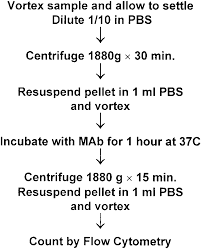 Flow Chart For Processing Of Human Stool Samples Download