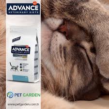 Advance Veterinery Diets Cat Gastro Sensitive Enterit Gastrit Ve Pankreatit Akut Veya Kronik Ishal