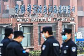 Maybe you would like to learn more about one of these? Media China Sebut Laporan Lab As Soal Asal Usul Covid 19 Konspirasi