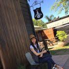 Pin On Y Travel Bucket List