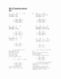 50 Genotypes And Phenotypes Worksheet In 2020 Persuasive Writing Prompts Worksheets Worksheet Template