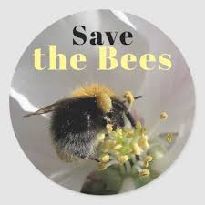 Black And White Striped Bee Like Insect Busy Bumble Bee Save The Bees Classic Round Sticker Zazzle Com In 2020 Save The Bees Bee Bumble Bee