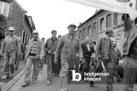 Image result for Grevea