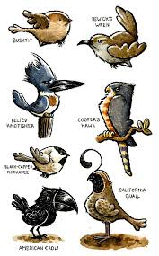 Backyard Birds Of Western Washington Birds Of The Pacific Northwest Backyard Birds North West Pacific Northwest