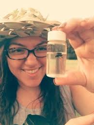 Board Gallery — Spring Creek Coalition