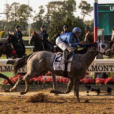 Bathroom faucets are not things that we buy frequently. Essential Quality Wins The 153rd Belmont Stakes The New York Times